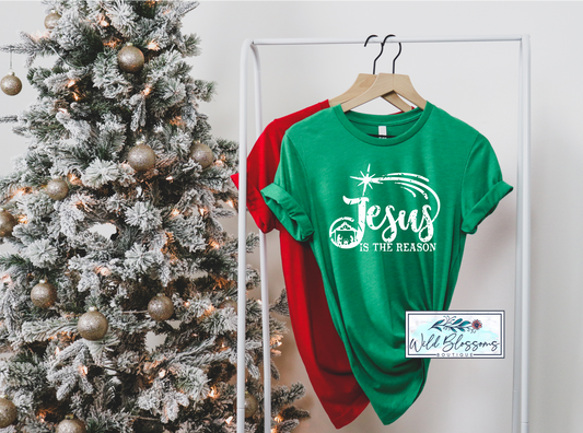Jesus Is The Reason Graphic Tee